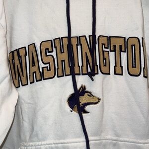 Y2K Foot Locker Team Edition university Washington Huskies Hoodie embroidered